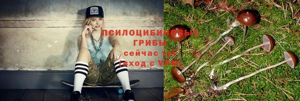метамфетамин Богданович