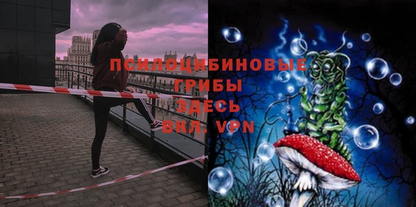 прущий лед Бородино