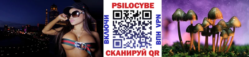 Псилоцибиновые грибы Cubensis  ссылка на мегу зеркало  Хасавюрт 