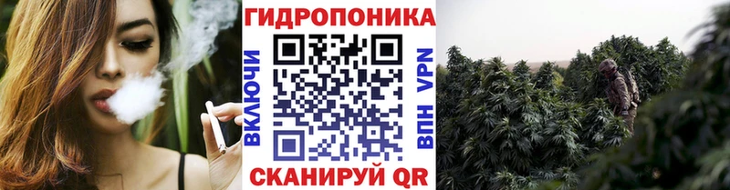 где найти   Хасавюрт  МАРИХУАНА SATIVA & INDICA 